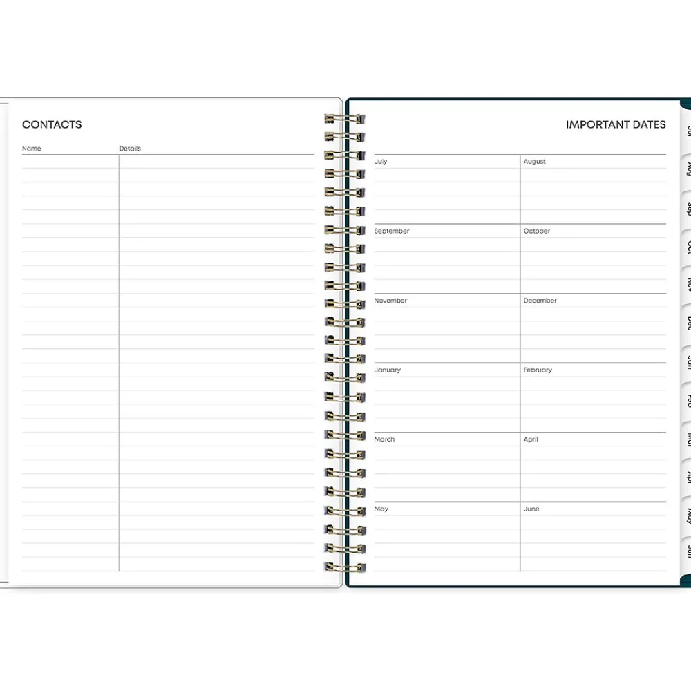Academic Planners|Blue Sky 2024-2025 Greta 5.88" x 8.63" Academic Weekly & Monthly Planner, Plastic Cover, Multicolor (136482-A25)