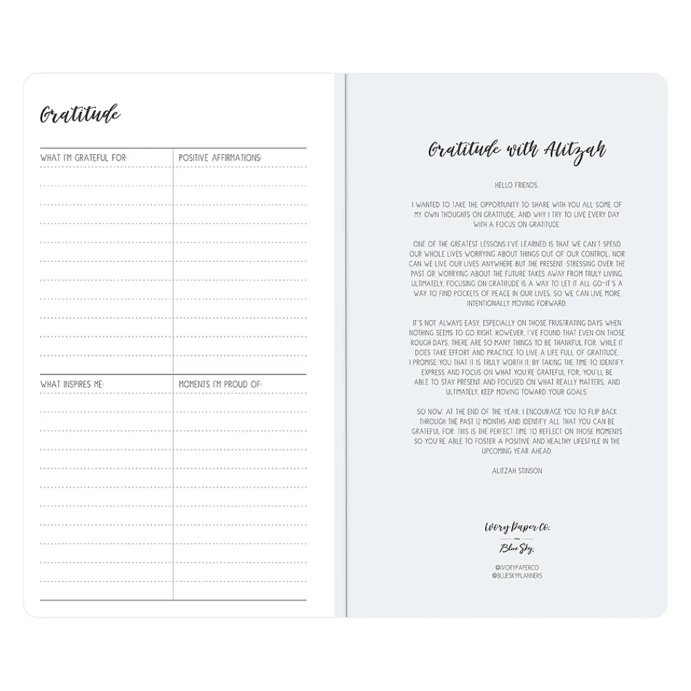 Academic Planners|Blue Sky 2024-2026 Ivory Paper Co Daviana 3.63" x 6.13" Academic Monthly Planner, Cream/Blue (146890)