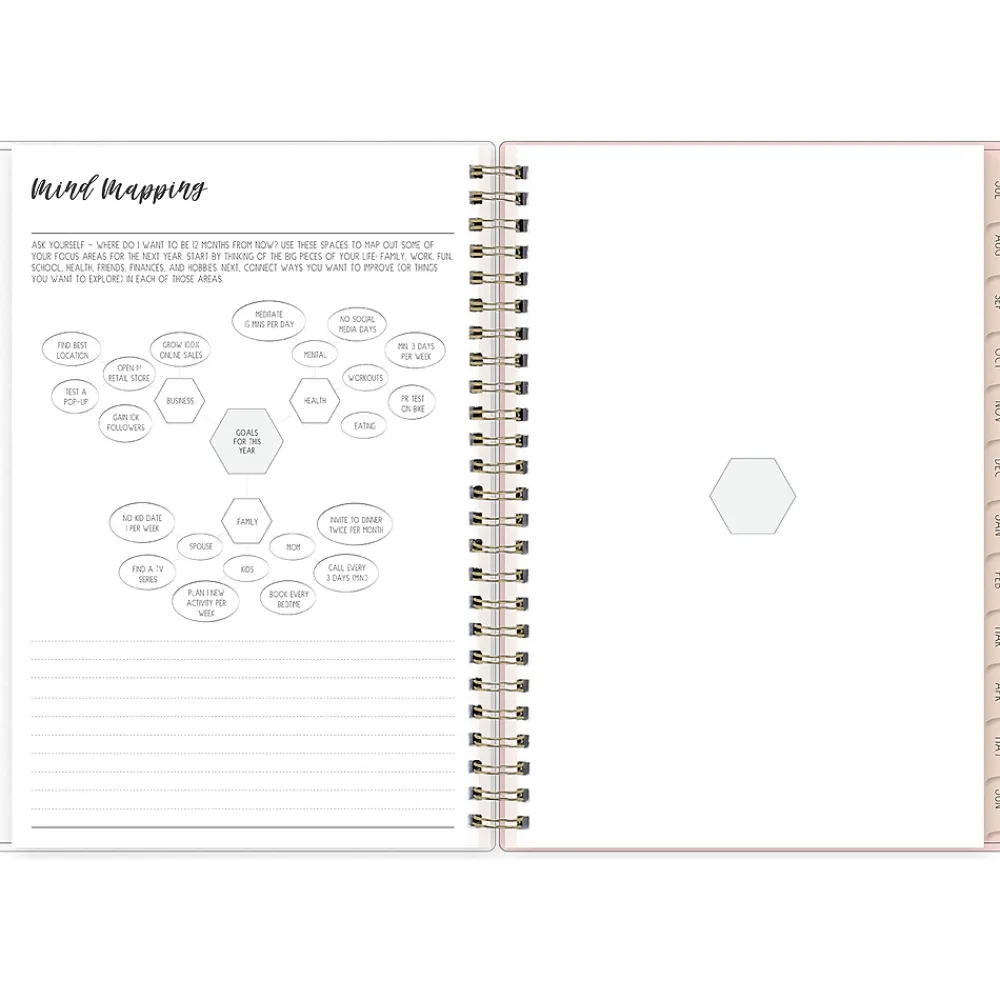 Academic Planners|Blue Sky 2024-2025 Ivory Paper Co Sammi 5.88" x 8.63" Academic Weekly & Monthly Planner, Plastic Cover, Multicolor (146884)