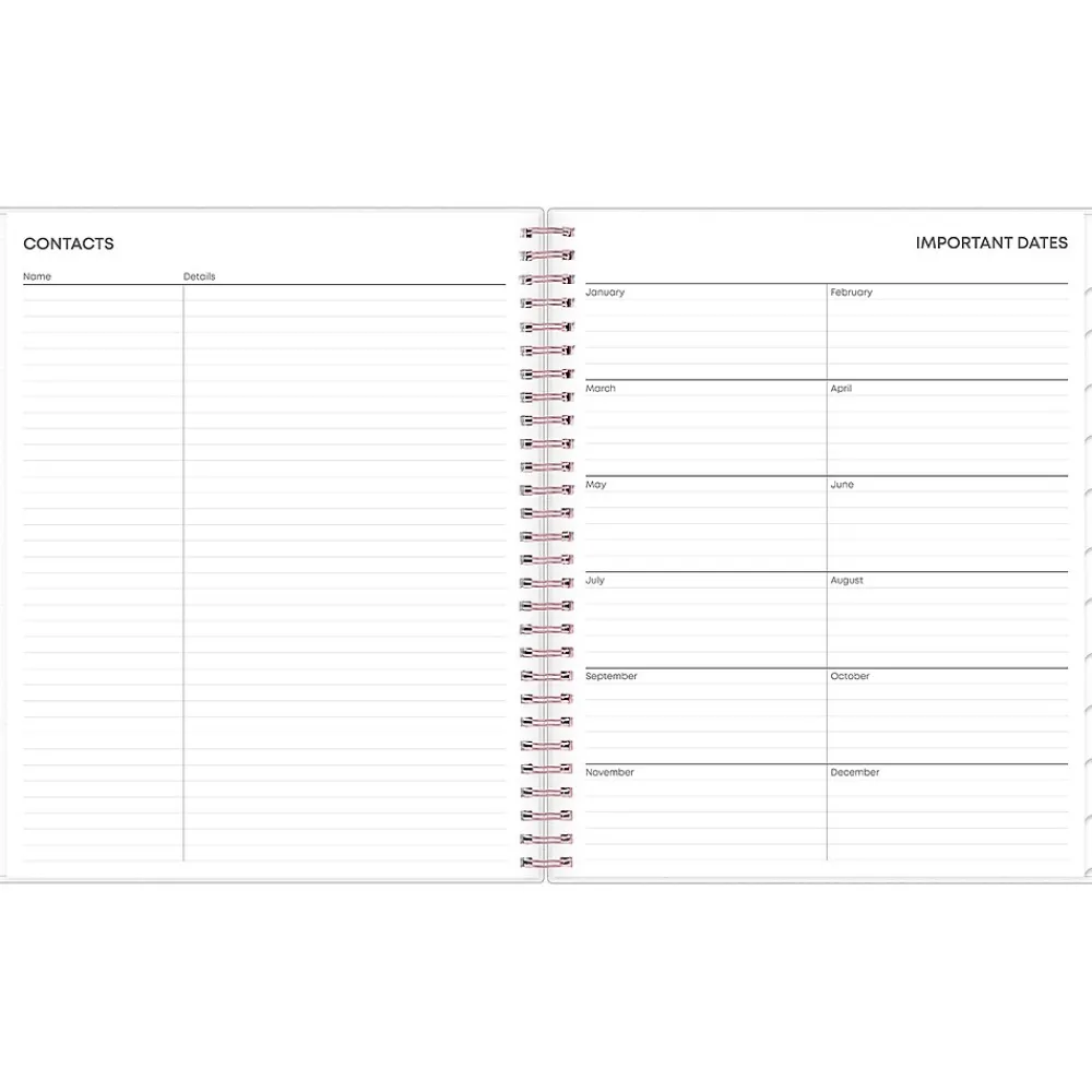 2025 Planners|Blue Sky 2025 Joselyn 8" x 10" Monthly Planner, Plastic Cover, Multicolor (110395-25)