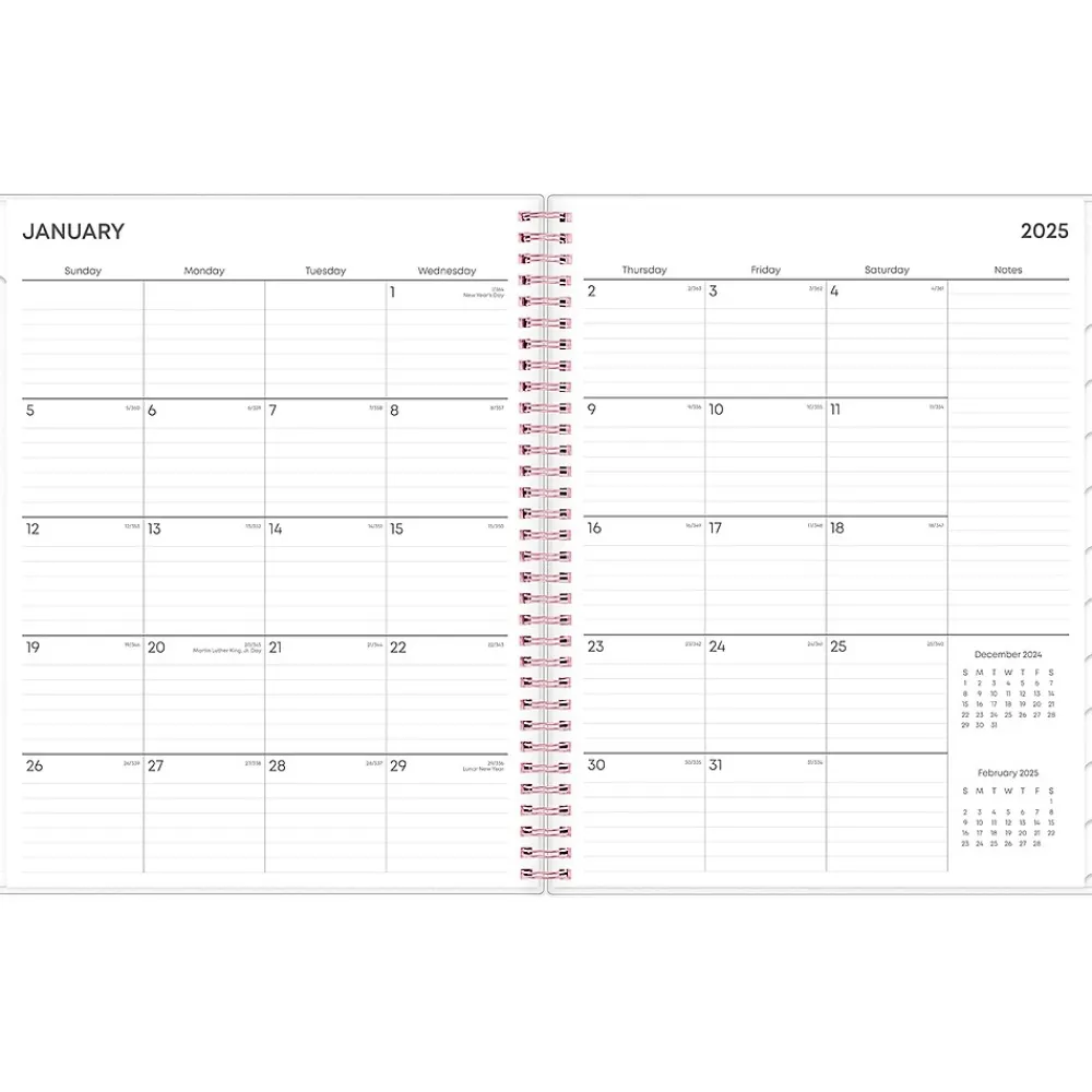 2025 Planners|Blue Sky 2025 Joselyn 8.5" x 11" Weekly & Monthly Planner, Plastic Cover, Multicolor (110394-25)