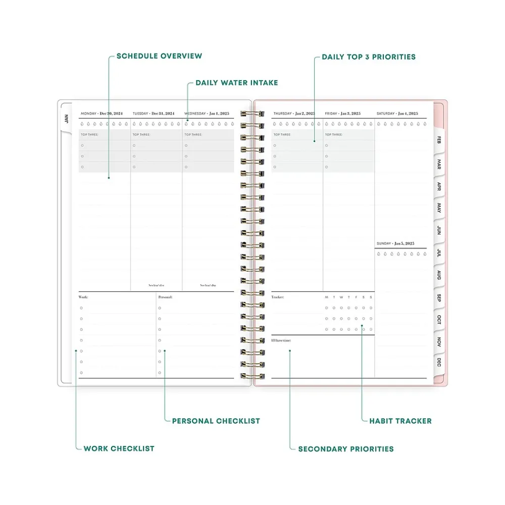 2025 Planners|Blue Sky 2025 Julissa 8.5" x 11" Weekly & Monthly Planner, Plastic Cover, Multicolor (147915)