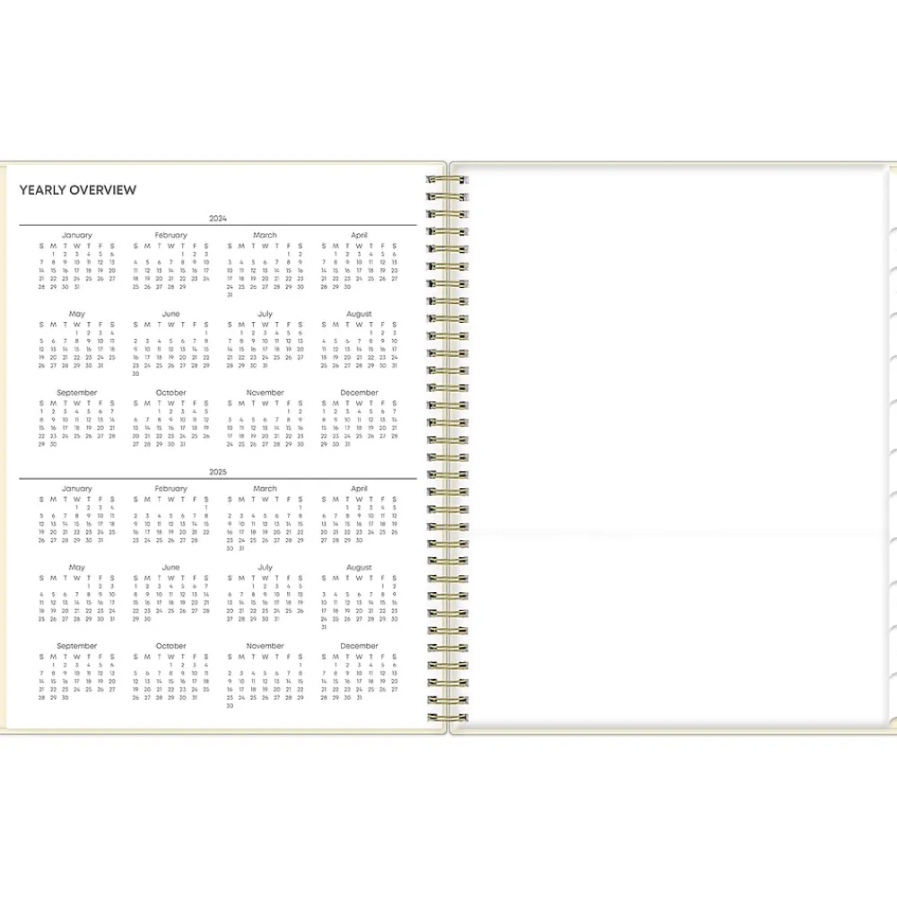 Academic Planners|Blue Sky 2024-2025 Junie 8.5" x 11" Weekly & Monthly Academic Planner, Plastic Cover, Multicolor (146861)