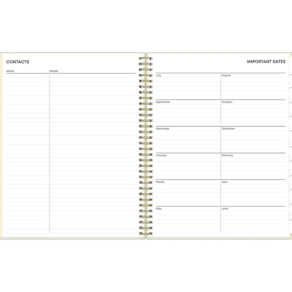 Academic Planners|Blue Sky 2024-2025 Junie 8.5" x 11" Weekly & Monthly Academic Planner, Plastic Cover, Multicolor (146861)