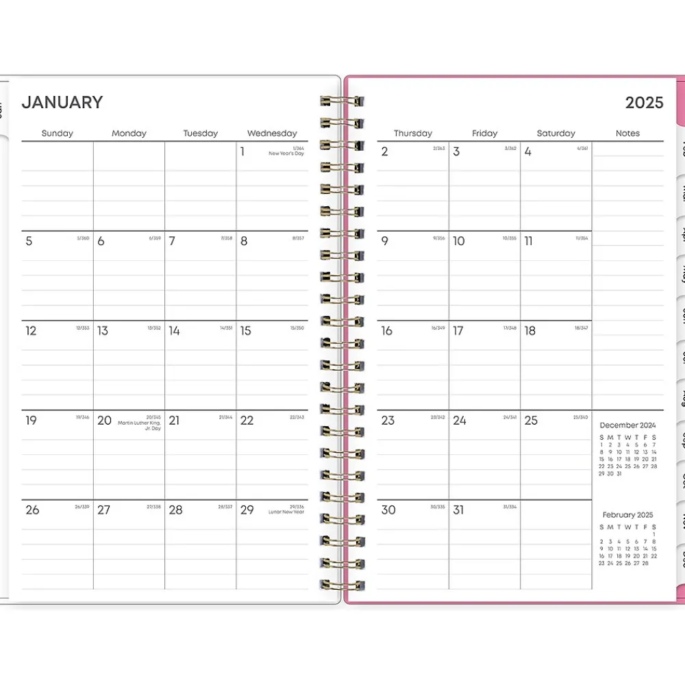 2025 Planners|Blue Sky 2025 Juno Pink 5" x 8" Weekly & Monthly Planner, Plastic Cover, Multicolor (152265)