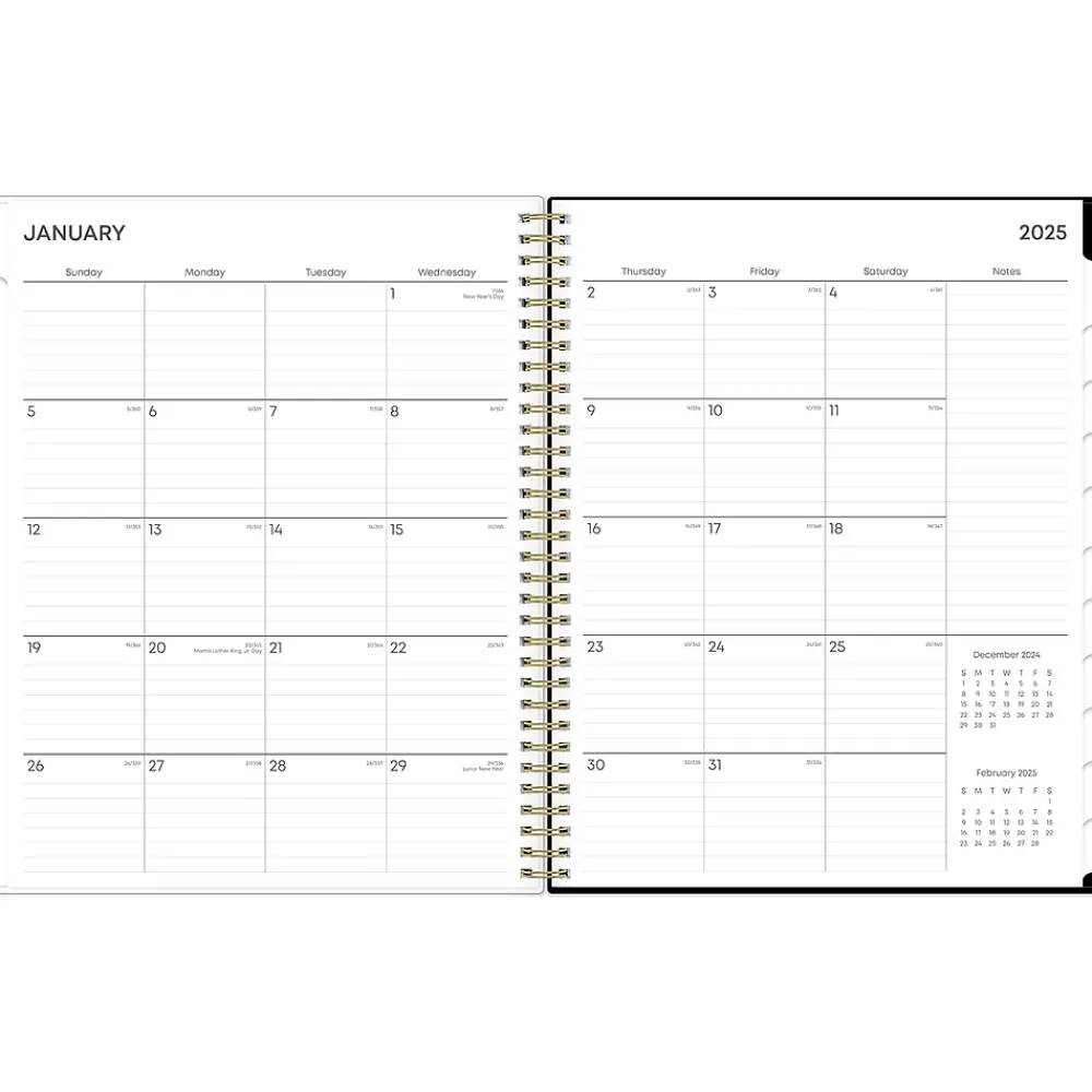 2025 Planners|Blue Sky 2025 Katya 8.5" x 11" Weekly & Monthly Planner, Plastic Cover, Brown/Black (152483)