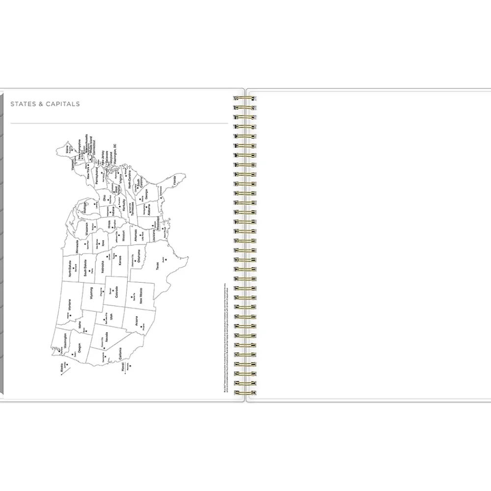 2025 Planners|Blue Sky 2025 Kelly Ventura Mimosa 8.5" x 11" Weekly & Monthly Planner, Plastic Cover, Yellow/White (149059-25)