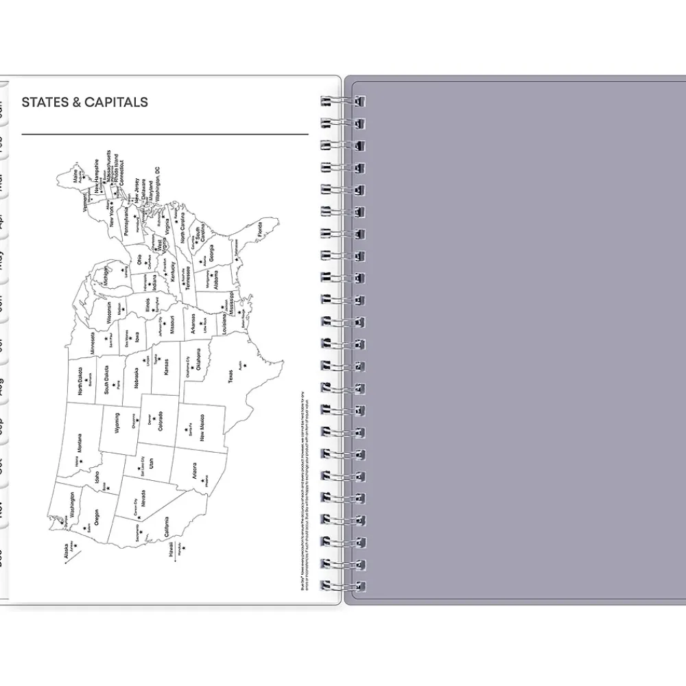 2025 Planners|Blue Sky 2025 Laila 5" x 8" Weekly & Monthly Planner, Plastic Cover, Multicolor (137276-25)