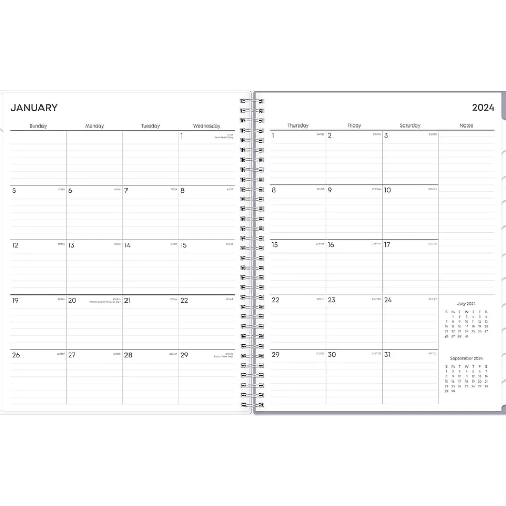 2025 Planners|Blue Sky 2025 Laila 8.5" x 11" Weekly & Monthly Planner, Plastic Cover, Multicolor (137273-25)
