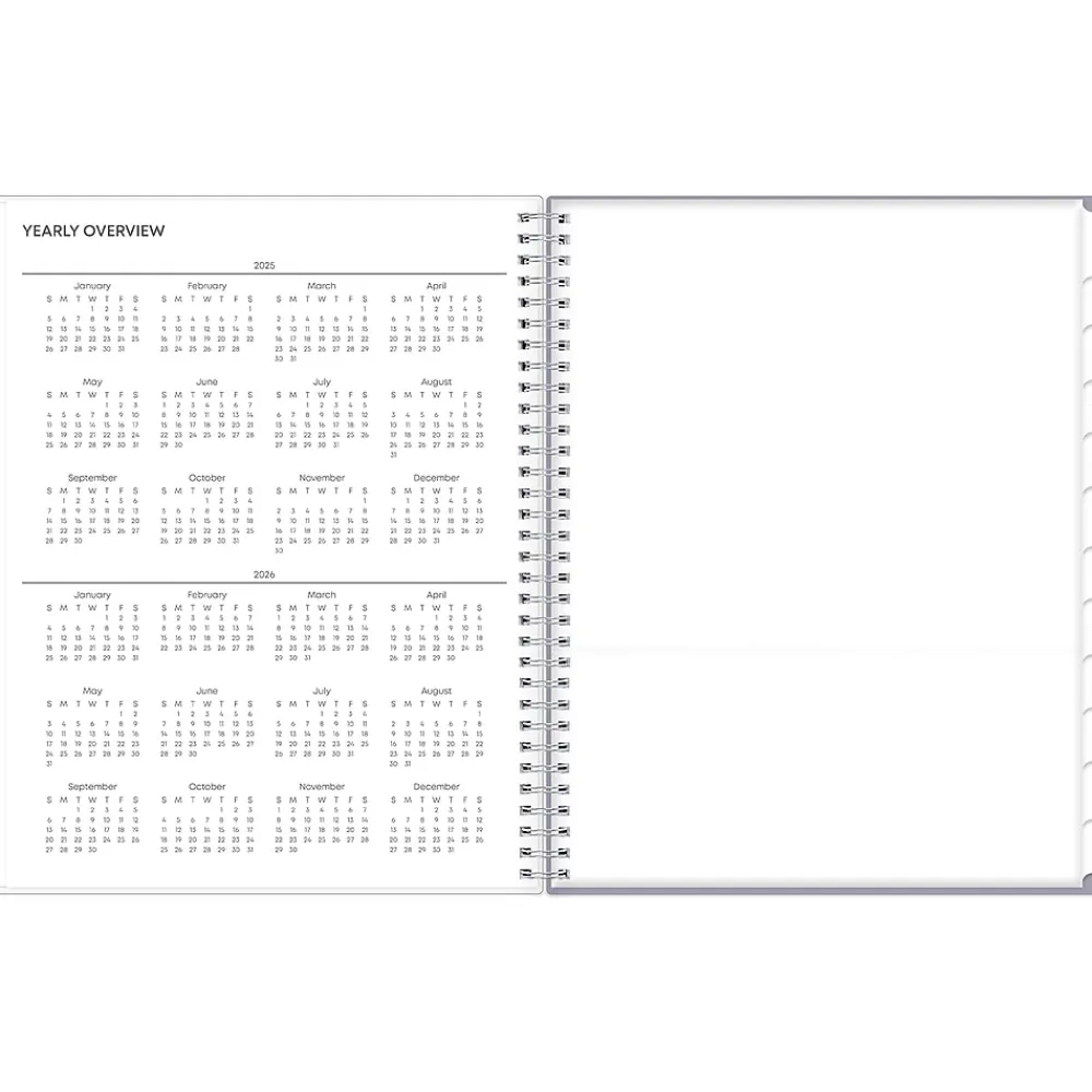2025 Planners|Blue Sky 2025 Laila 8.5" x 11" Weekly & Monthly Planner, Plastic Cover, Multicolor (137273-25)