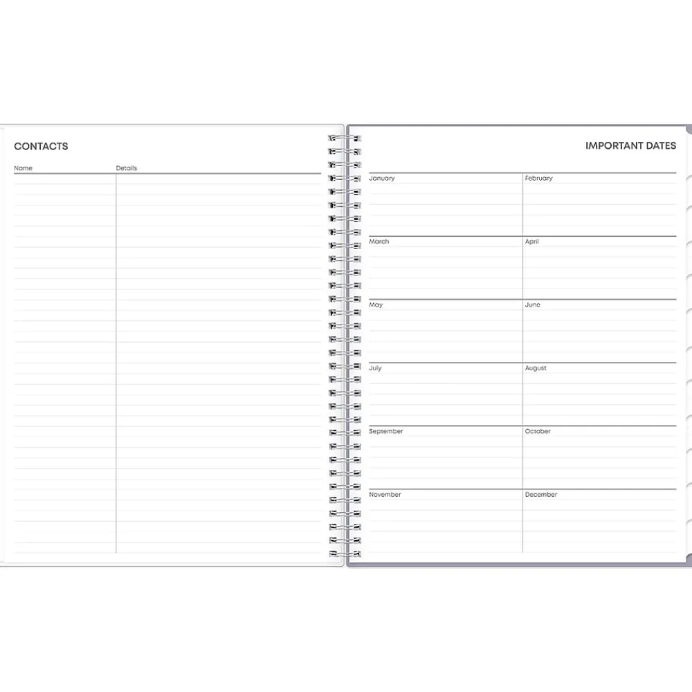 2025 Planners|Blue Sky 2025 Laila 8.5" x 11" Weekly & Monthly Planner, Plastic Cover, Multicolor (137273-25)