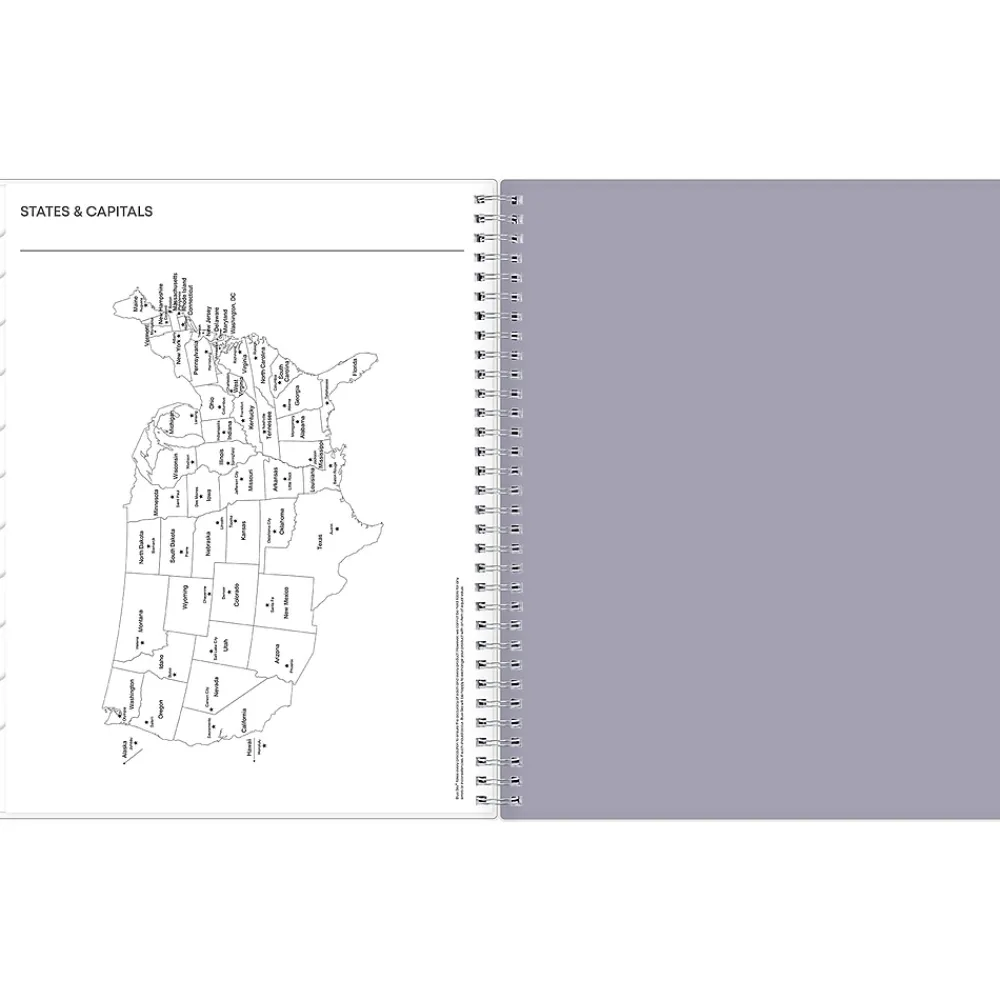 2025 Planners|Blue Sky 2025 Laila 8.5" x 11" Weekly & Monthly Planner, Plastic Cover, Multicolor (137273-25)