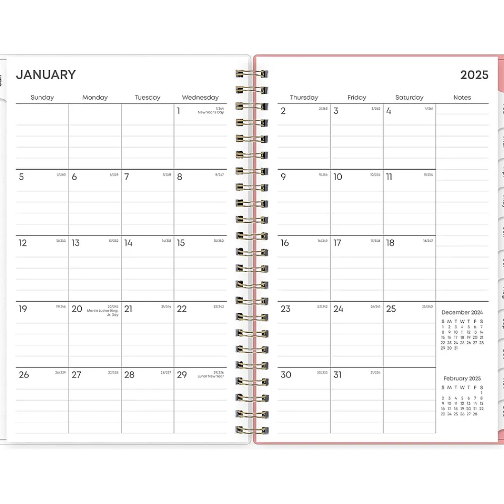 2025 Planners|Blue Sky 2025 Lanissa 5" x 8" Weekly & Monthly Planner, Plastic Cover, Multicolor (152256)