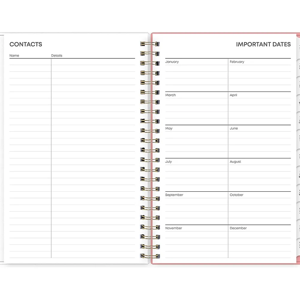 2025 Planners|Blue Sky 2025 Lanissa 5" x 8" Weekly & Monthly Planner, Plastic Cover, Multicolor (152256)