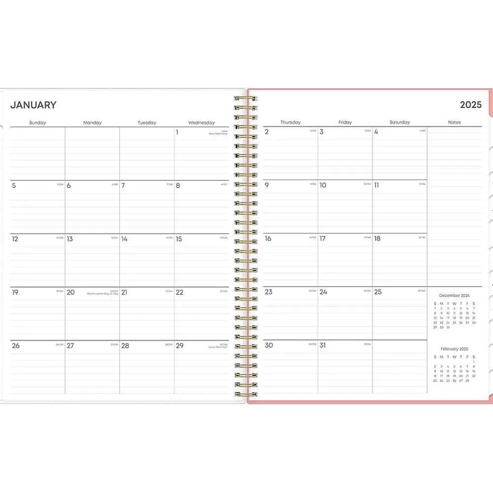 2025 Planners|Blue Sky 2025 Lanissa 8.5" x 11" Weekly & Monthly Planner, Plastic Cover, Multicolor (152255)