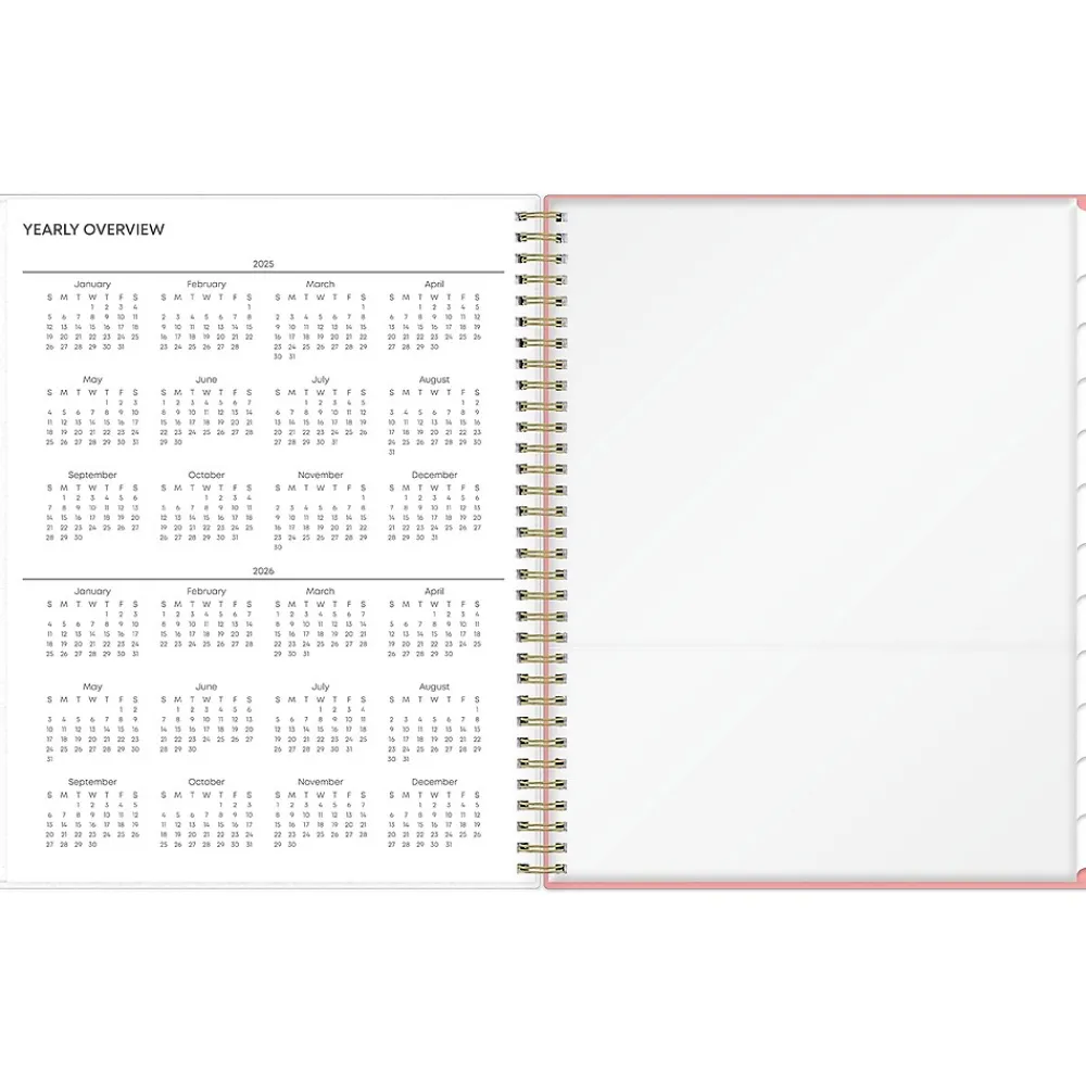 2025 Planners|Blue Sky 2025 Lanissa 8.5" x 11" Weekly & Monthly Planner, Plastic Cover, Multicolor (152255)