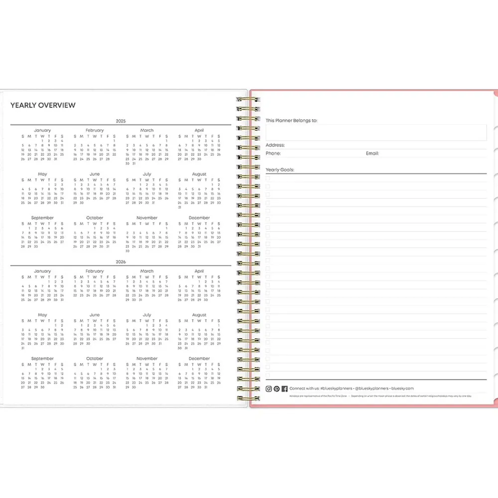 2025 Planners|Blue Sky 2025 Lanissa 8.5" x 11" Weekly & Monthly Planner, Plastic Cover, Multicolor (152255)