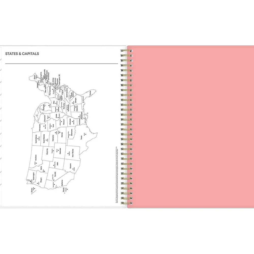 2025 Planners|Blue Sky 2025 Lanissa 8.5" x 11" Weekly & Monthly Planner, Plastic Cover, Multicolor (152255)