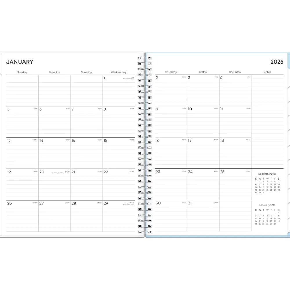 2025 Planners|Blue Sky 2025 Larah Blue 8.5" x 11" Weekly & Monthly Planner, Plastic Cover, Multicolor (152263)