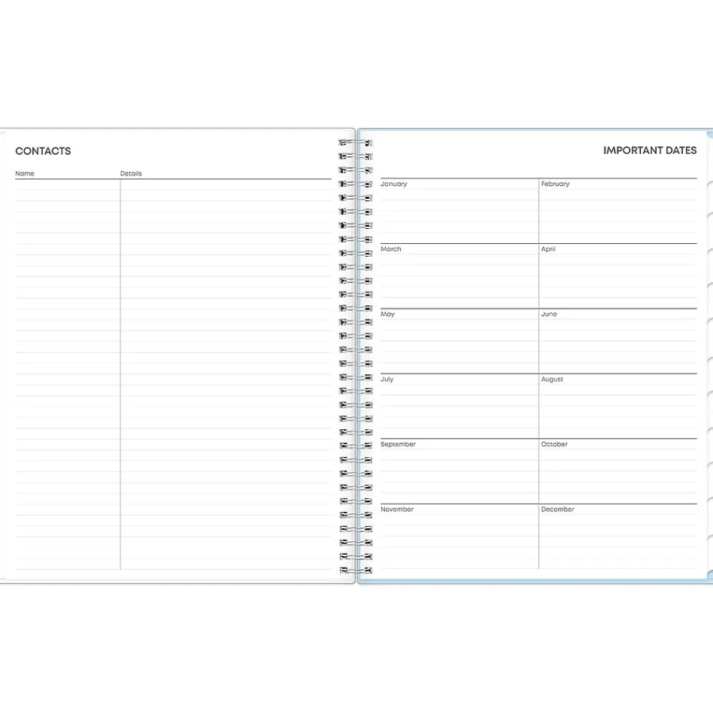 2025 Planners|Blue Sky 2025 Larah Blue 8.5" x 11" Weekly & Monthly Planner, Plastic Cover, Multicolor (152263)