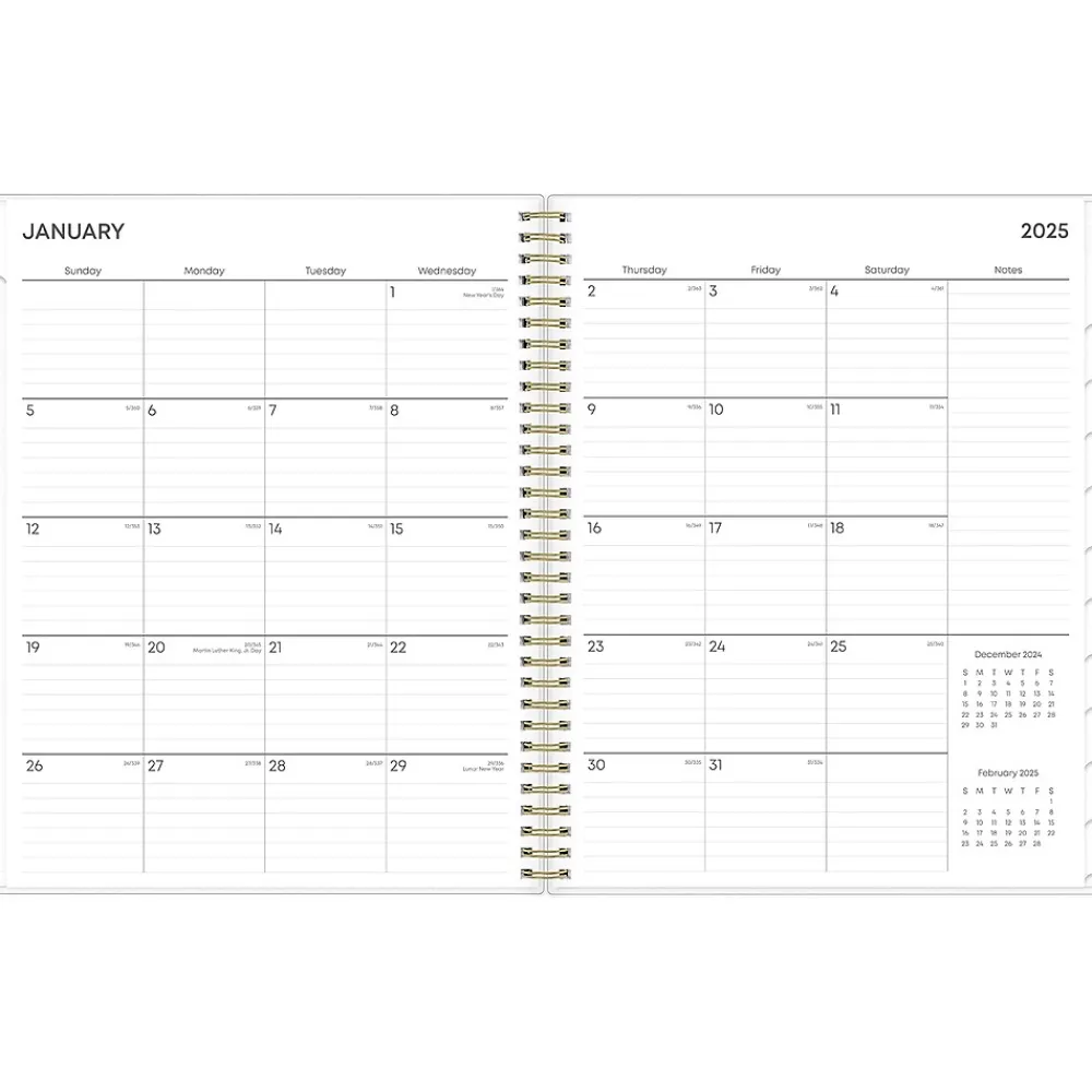 2025 Planners|Blue Sky 2025 Laurel 8.5" x 11" Weekly & Monthly Planner, Plastic Cover, Mint Green (135842-25)
