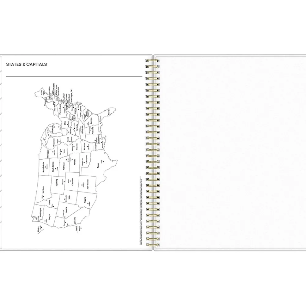 2025 Planners|Blue Sky 2025 Laurel 8.5" x 11" Weekly & Monthly Planner, Plastic Cover, Mint Green (135842-25)
