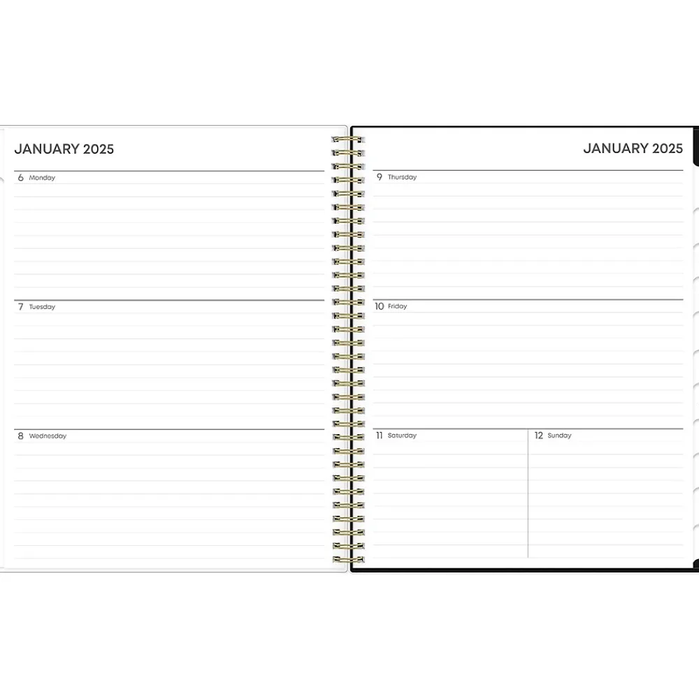 2025 Planners|Blue Sky 2025 Leafy Lounge 8.5" x 11" Weekly & Monthly Planner, Plastic Cover, Green/Gray (147930)
