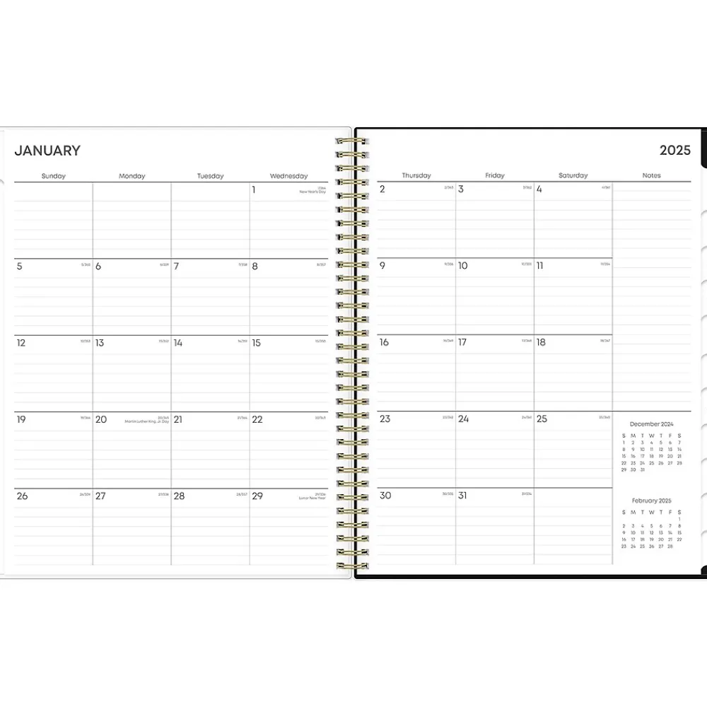2025 Planners|Blue Sky 2025 Leafy Lounge 8.5" x 11" Weekly & Monthly Planner, Plastic Cover, Green/Gray (147930)