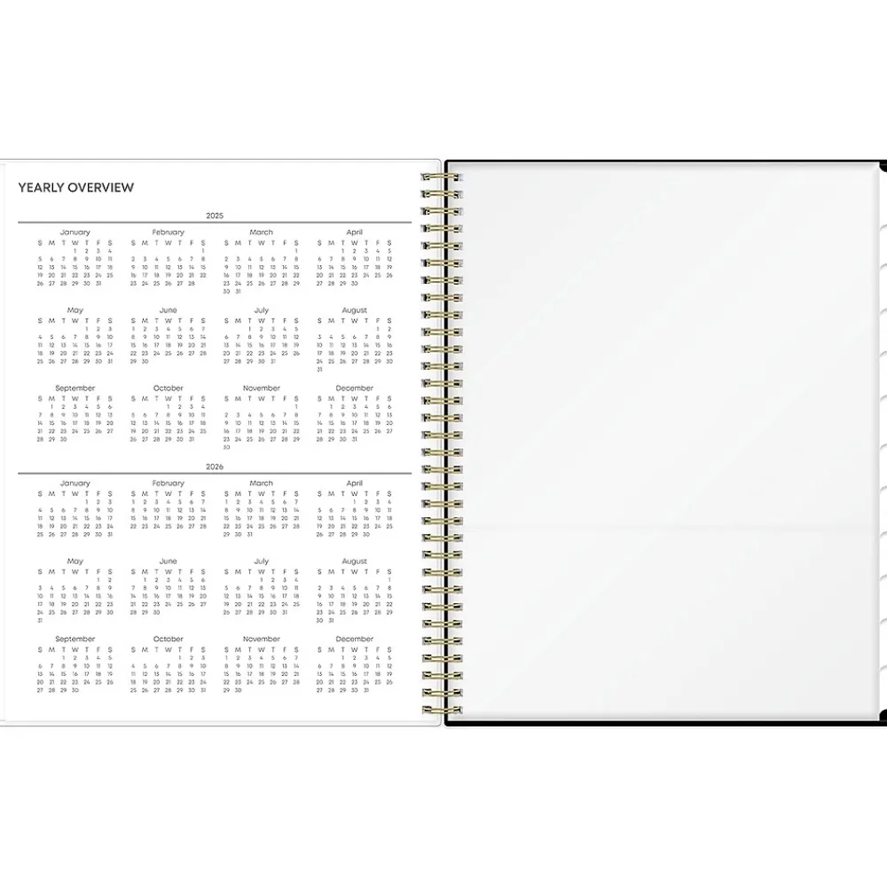 2025 Planners|Blue Sky 2025 Leafy Lounge 8.5" x 11" Weekly & Monthly Planner, Plastic Cover, Green/Gray (147930)
