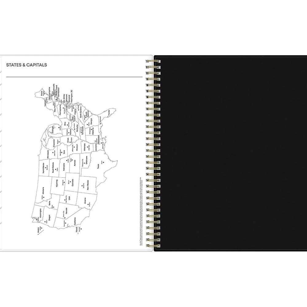 2025 Planners|Blue Sky 2025 Leafy Lounge 8.5" x 11" Weekly & Monthly Planner, Plastic Cover, Green/Gray (147930)