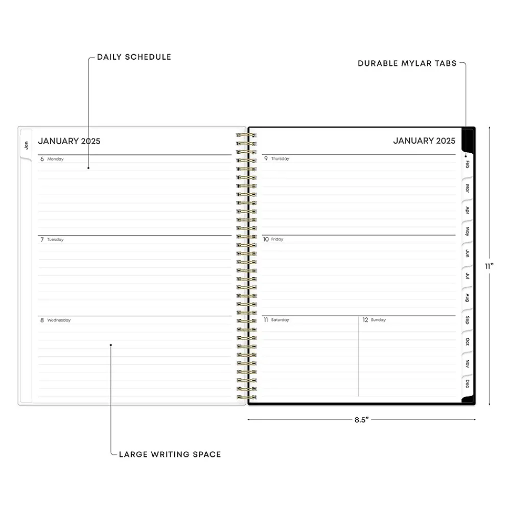 2025 Planners|Blue Sky 2025 Leafy Lounge 8.5" x 11" Weekly & Monthly Planner, Plastic Cover, Green/Gray (147930)