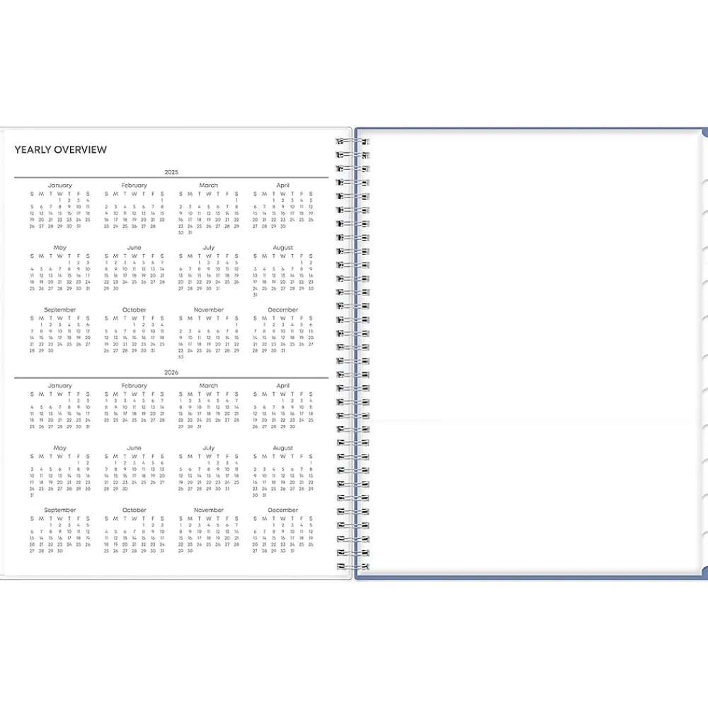 2025 Planners|Blue Sky 2025 Lindley 8.5" x 11" Weekly & Monthly Planner, Plastic Cover, Multicolor (100654-25)