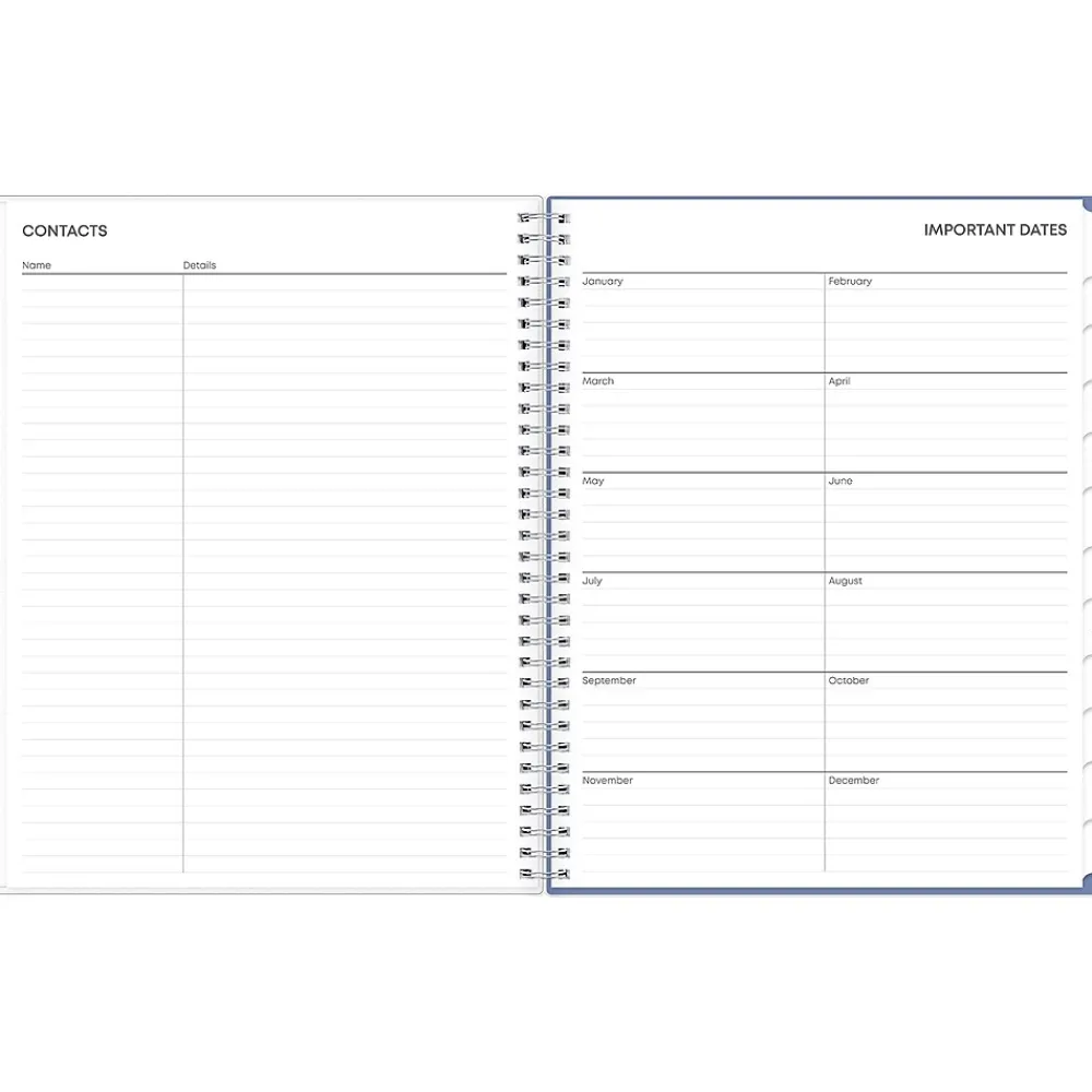 2025 Planners|Blue Sky 2025 Lindley 8.5" x 11" Weekly & Monthly Planner, Plastic Cover, Multicolor (100654-25)