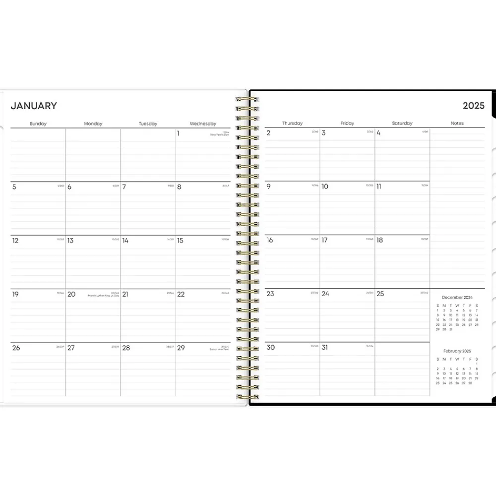 2025 Planners|Blue Sky 2025 Lolani 8.5" x 11" Weekly & Monthly Planner, Plastic Cover, Green/Gray (147968)