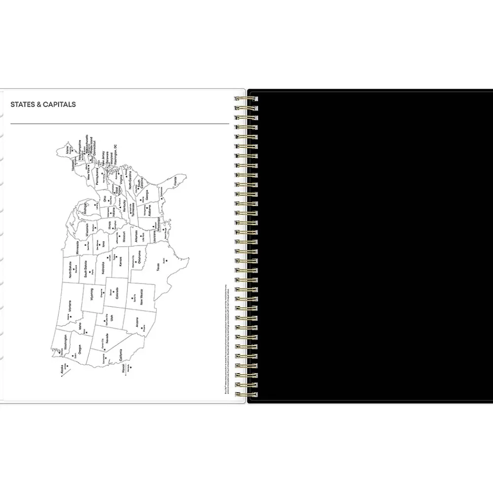 2025 Planners|Blue Sky 2025 Lolani 8.5" x 11" Weekly & Monthly Planner, Plastic Cover, Green/Gray (147968)