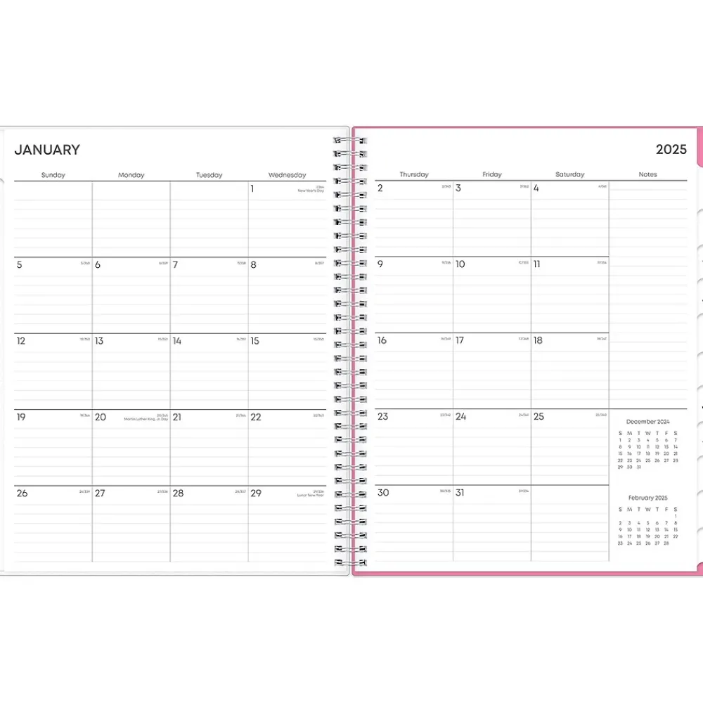 2025 Planners|Blue Sky 2025 Lucidity 8.5" x 11" Weekly & Monthly Planner, Plastic Cover, Pink/Blue (150785)