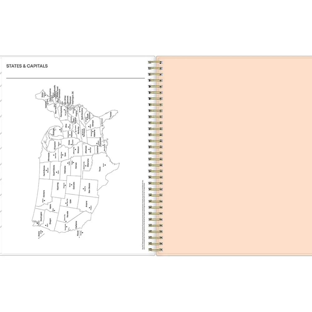 2025 Planners|Blue Sky 2025 Natalya 8.5" x 11" Weekly & Monthly Planner, Plastic Cover, Pink/White (148764-25)