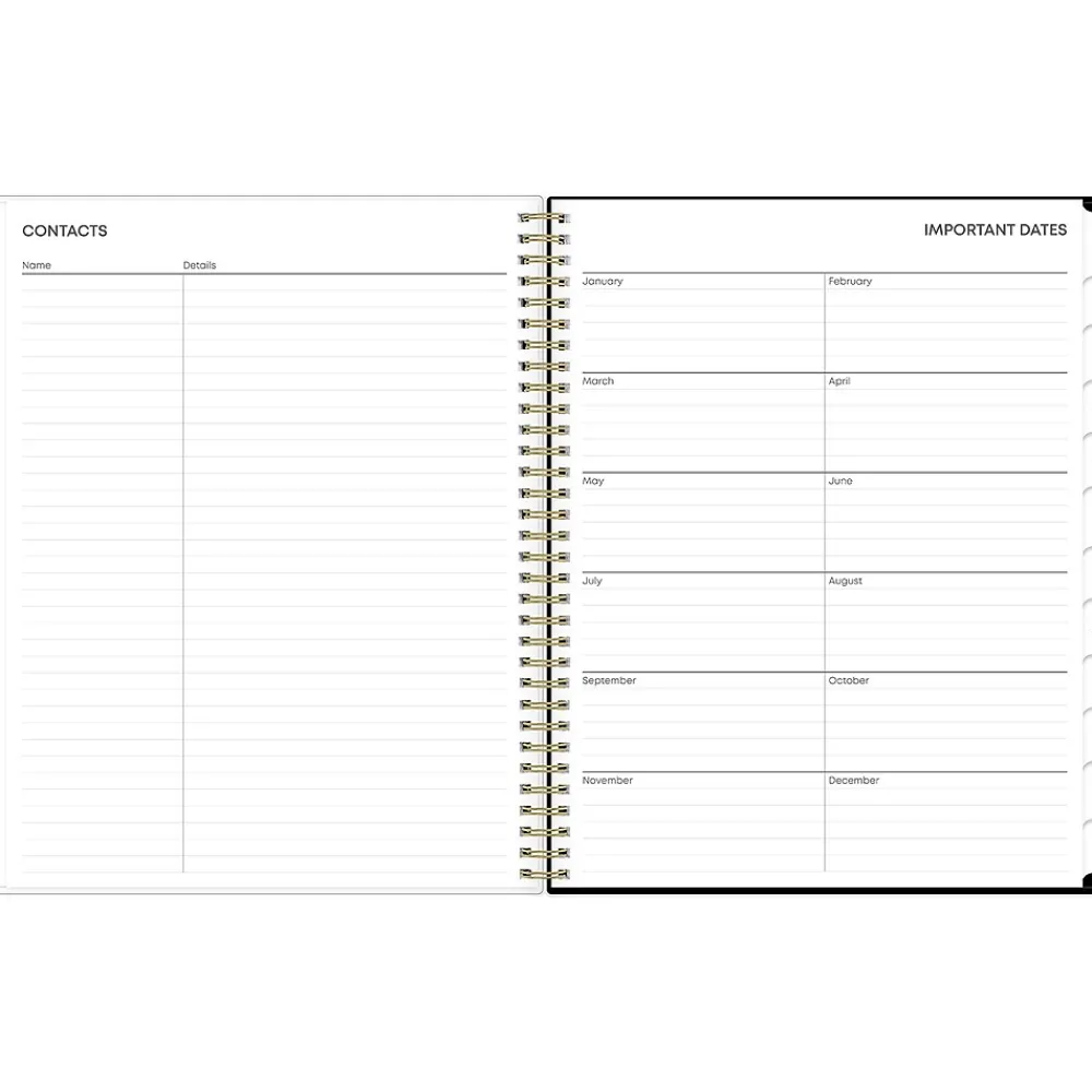 2025 Planners|Blue Sky 2025 Nevaeh 8.5" x 11" Weekly & Monthly Planner, Plastic Cover, Multicolor (143945-25)