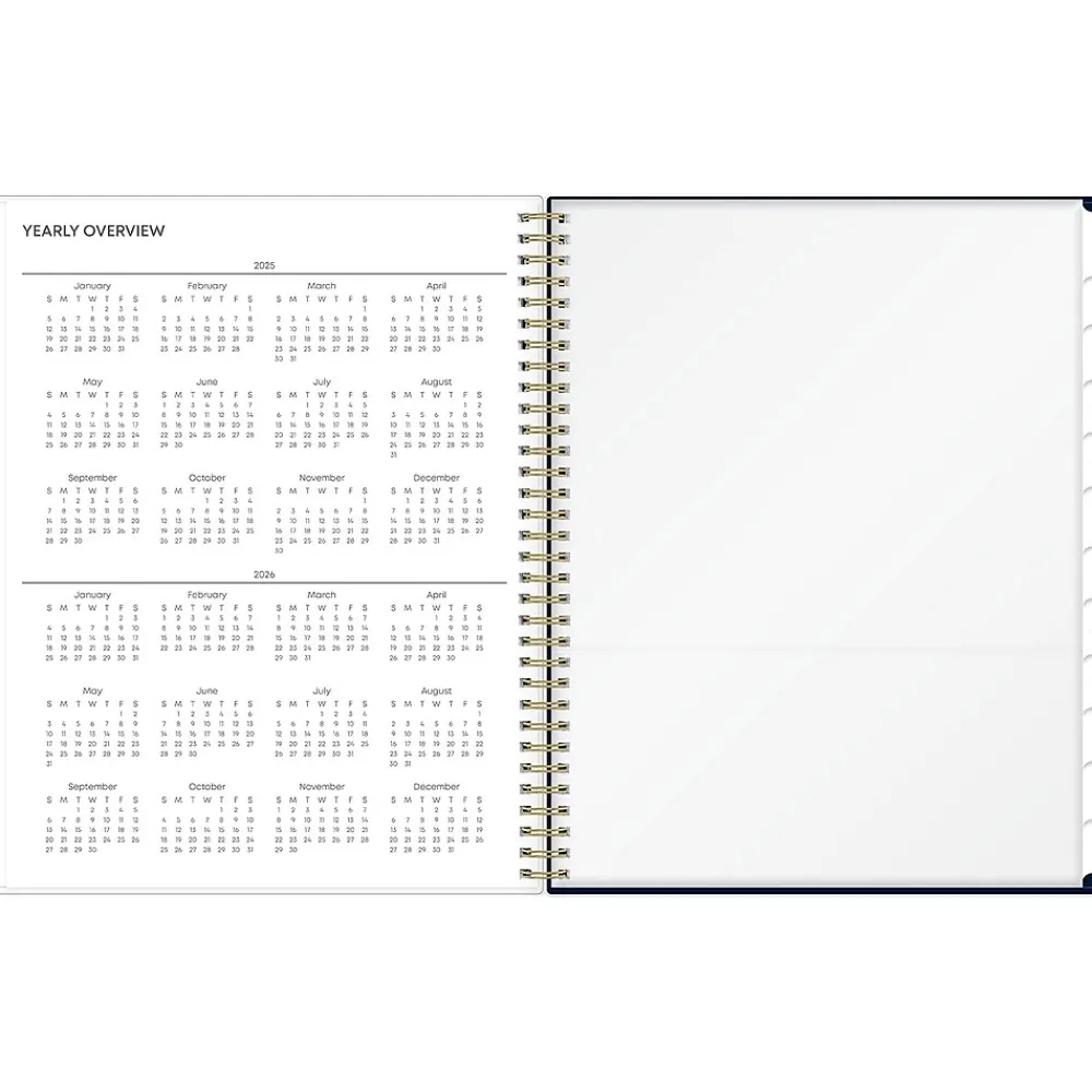 2025 Planners|Blue Sky 2025 Nightfall 8.5" x 11" Weekly & Monthly Planner, Plastic Cover, Multicolor (150545)