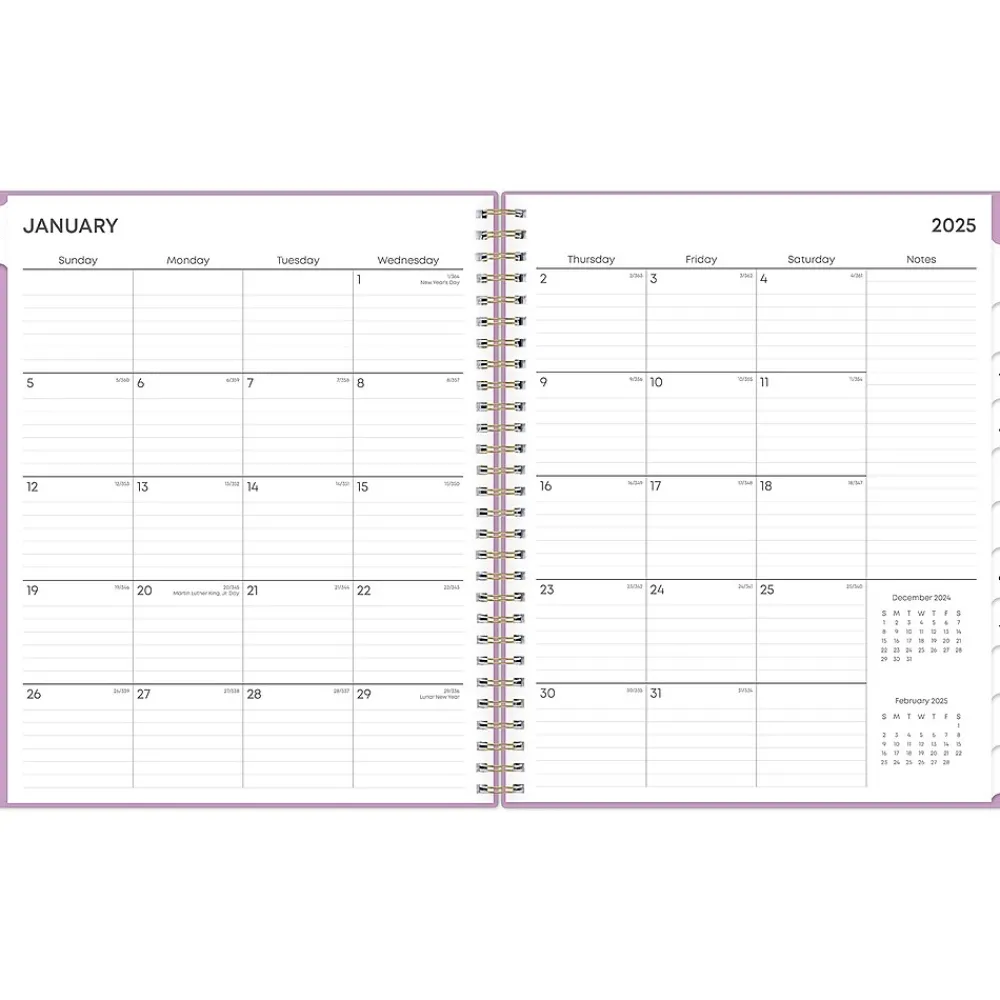 2025 Planners|Blue Sky 2025 Orchid 8" x 10" Monthly Planner, Plastic Cover, Purple (147941)