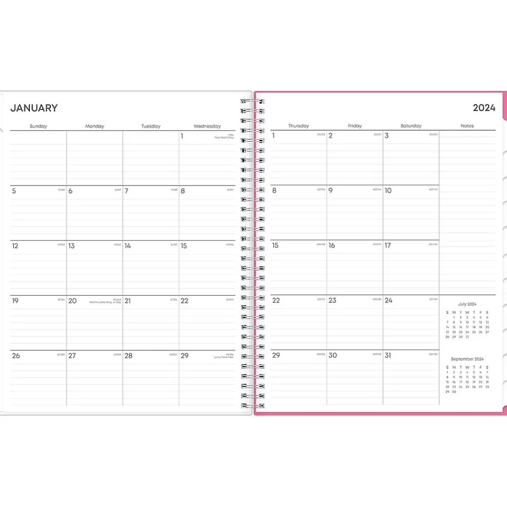 2025 Planners|Blue Sky 2025 Orchid 8.5" x 11" Weekly & Monthly Planner, Plastic Cover, White/Pink (137268-25)