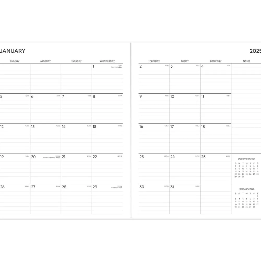 2025 Planners|Blue Sky 2025 Paradise Again 8.5" x 11" Monthly Planner, Plastic Cover, Multicolor (148459)