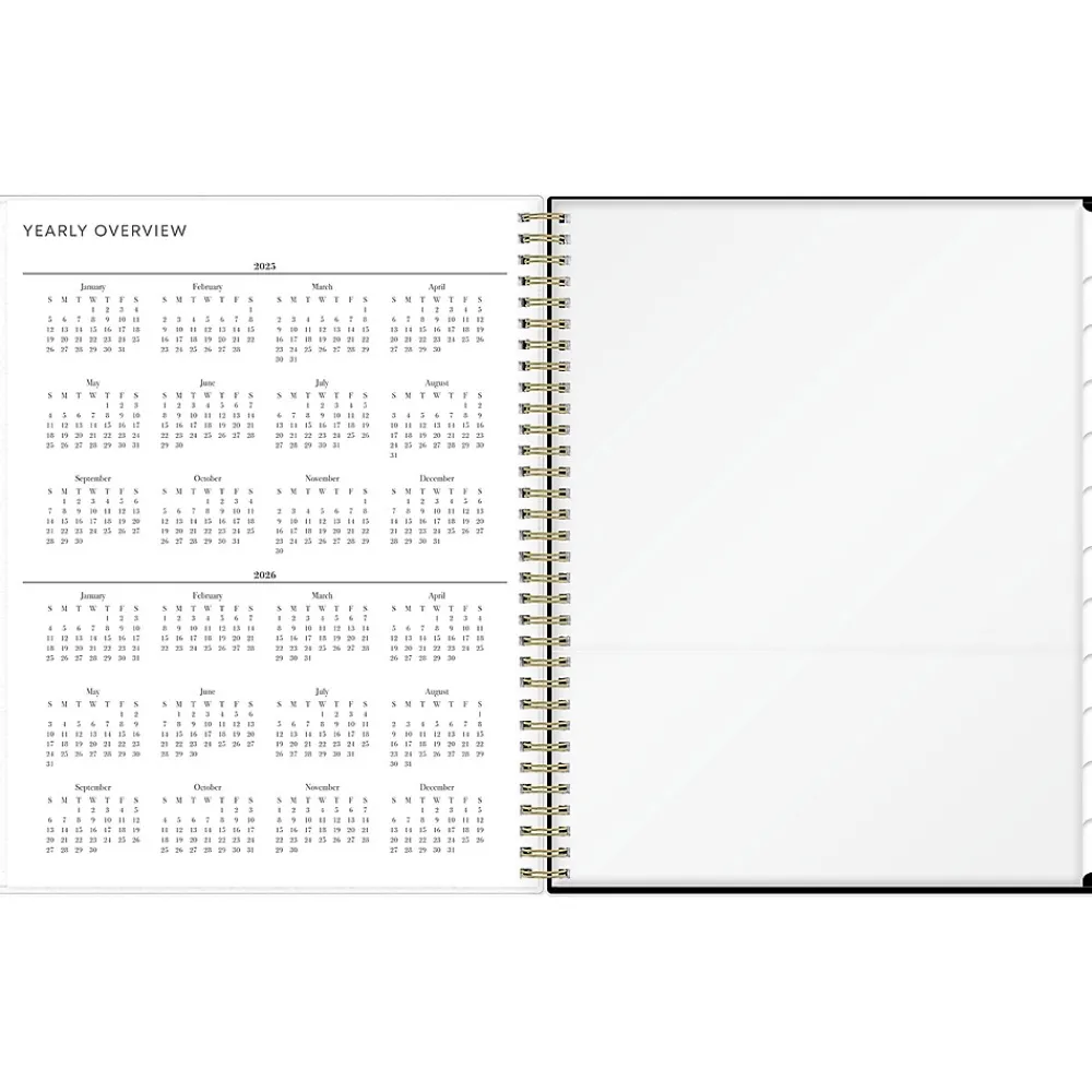2025 Planners|Blue Sky 2025 Petiti 8.5" x 11" Weekly & Monthly Planner, Plastic Cover, Multicolor (149082)