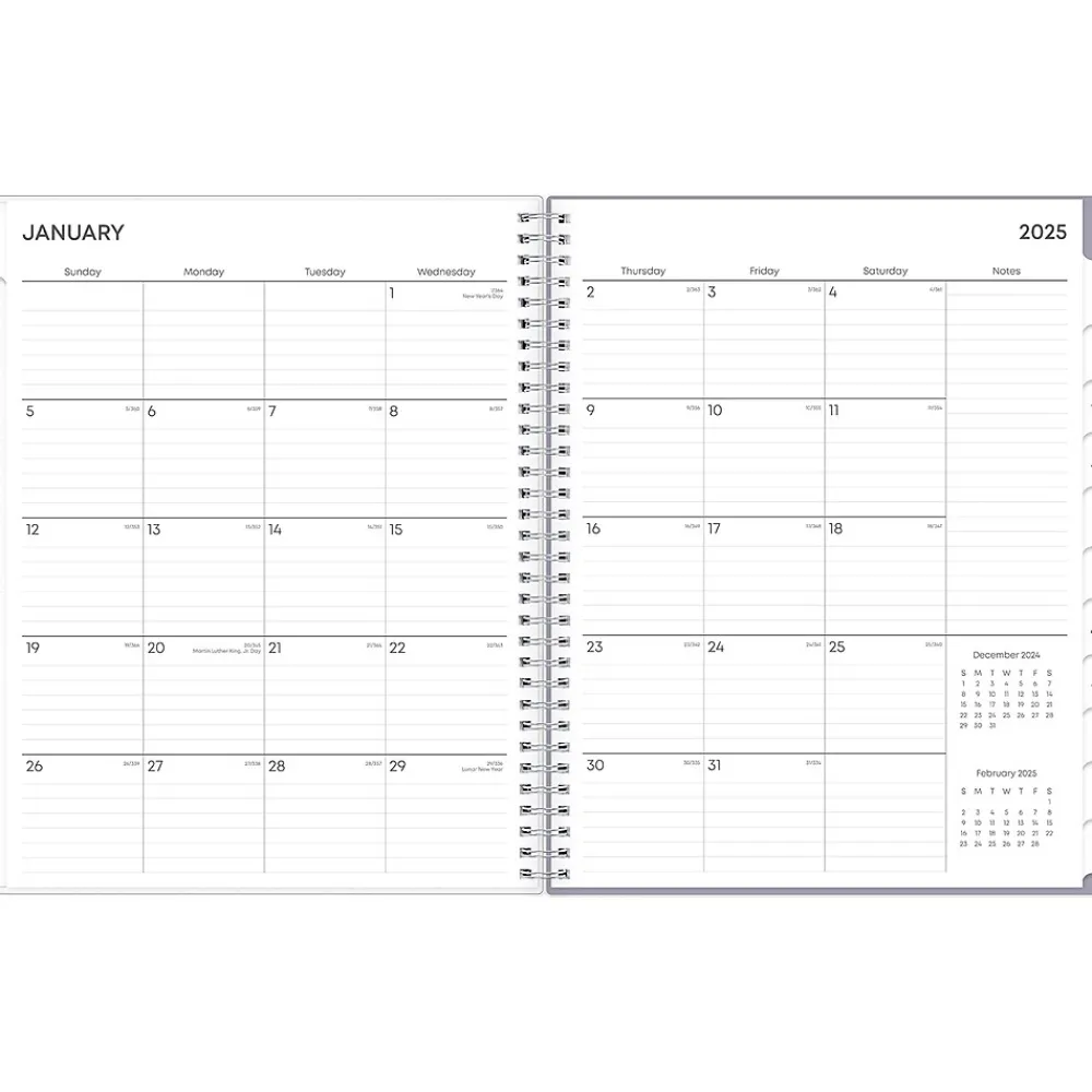 2025 Planners|Blue Sky 2025 Rue Du Flore 8.5" x 11" Weekly & Monthly Planner, Plastic Cover, Green/Gray (101602-25)