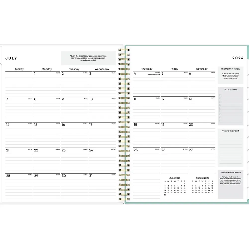 Academic Planners|Blue Sky 2024-2025 Sandra Check 8.5" x 11" Academic Weekly & Monthly Student Planner, Plastic Cover, Mint Green/White