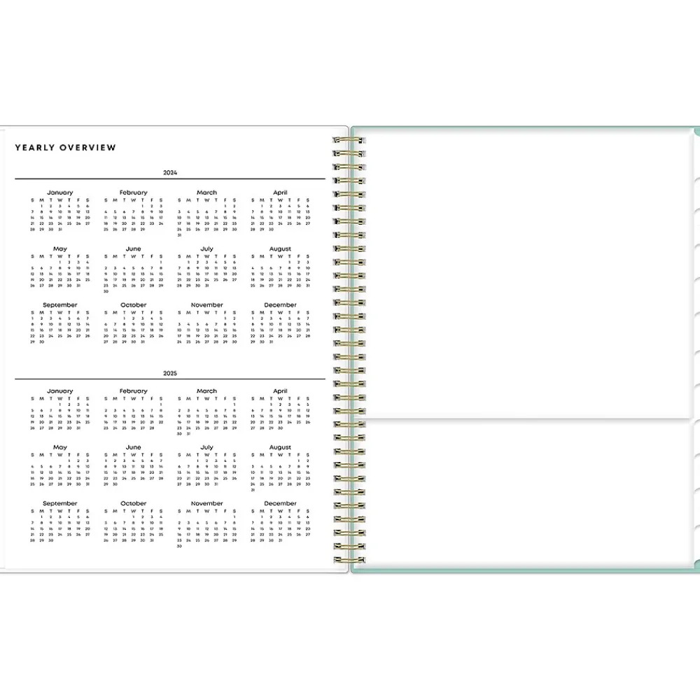 Academic Planners|Blue Sky 2024-2025 Sandra Check 8.5" x 11" Academic Weekly & Monthly Student Planner, Plastic Cover, Mint Green/White