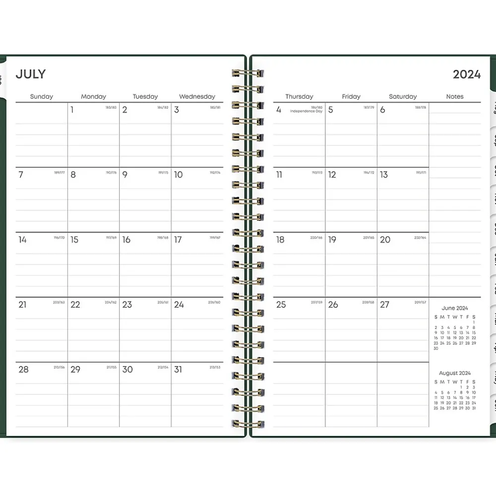 Academic Planners|Blue Sky 2024-2025 Shining Sky 5" x 8" Academic Weekly & Monthly Planner, Plastic Cover, Green/Gold (150003)