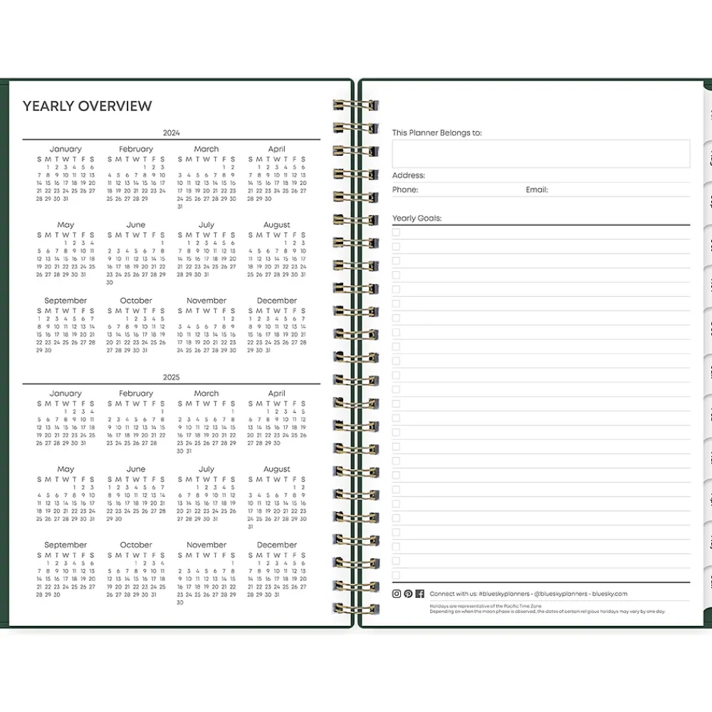 Academic Planners|Blue Sky 2024-2025 Shining Sky 5" x 8" Academic Weekly & Monthly Planner, Plastic Cover, Green/Gold (150003)