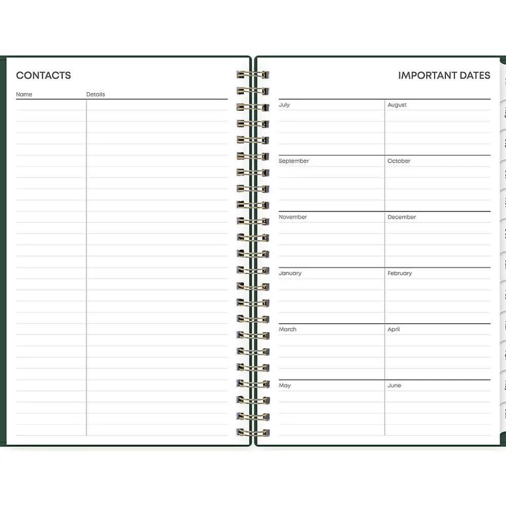 Academic Planners|Blue Sky 2024-2025 Shining Sky 5" x 8" Academic Weekly & Monthly Planner, Plastic Cover, Green/Gold (150003)