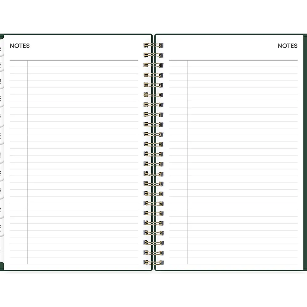 Academic Planners|Blue Sky 2024-2025 Shining Sky 5" x 8" Academic Weekly & Monthly Planner, Plastic Cover, Green/Gold (150003)